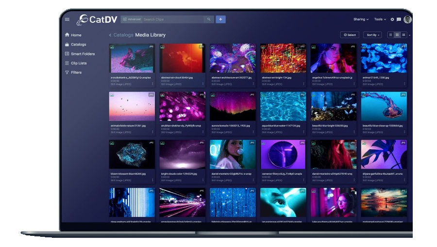 圖片關(guān)鍵詞